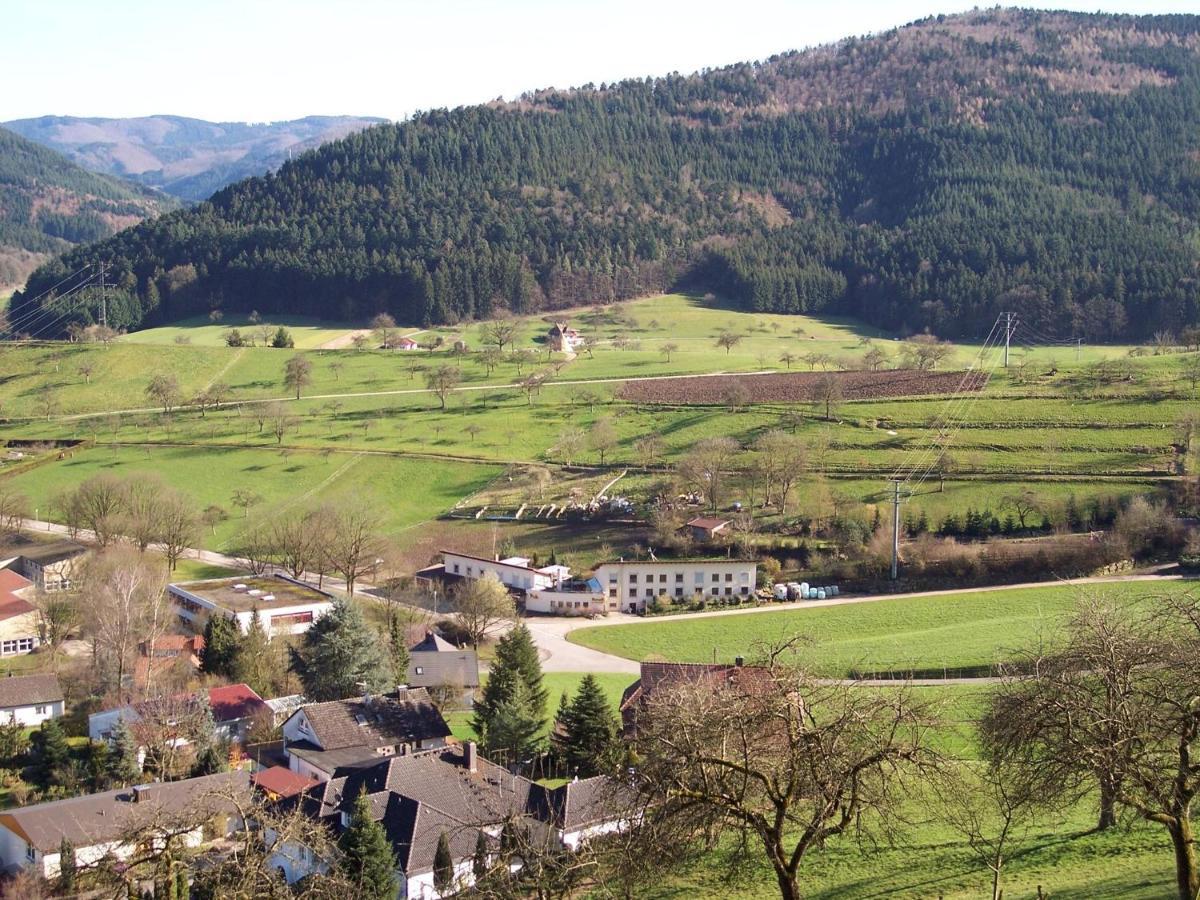 Cheerful Apartment Near City Centre Of Haslach Haslach im Kinzigtal Exterior foto